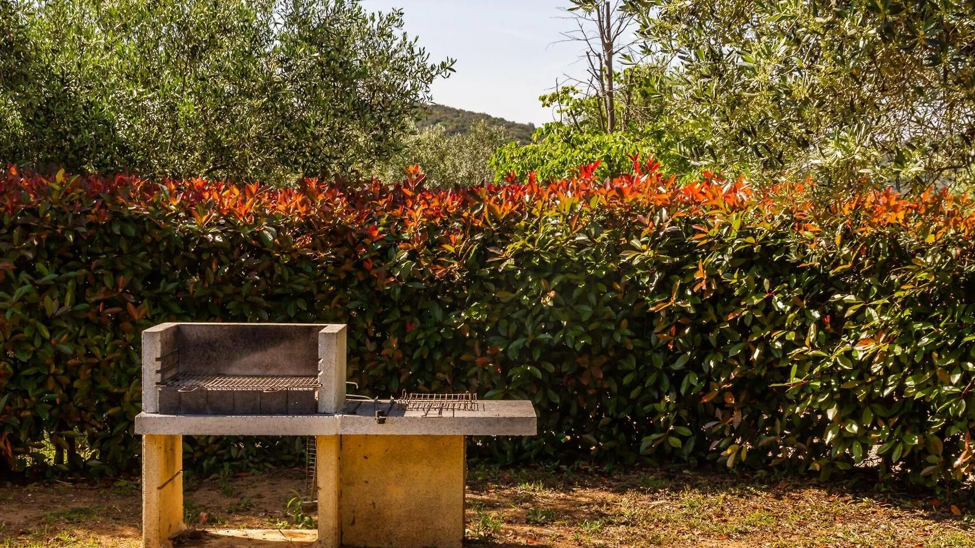 Farm stay Villa Glicine - Colleberto Follonica